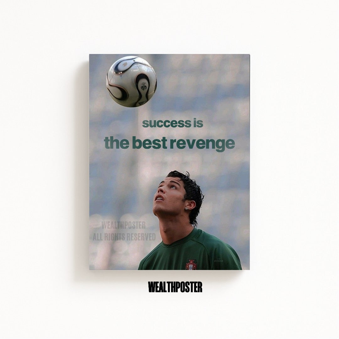 success is the best revenge